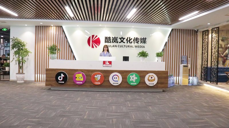 MG动画宣传片报价单模板，揭秘行业定价逻辑