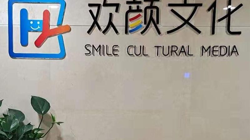 MG动画批量制作：揭秘背后的技术奥秘与报价策略